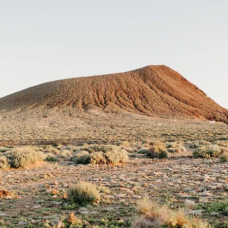 Апартаменты Vivienda Arecas - Эль-Медано