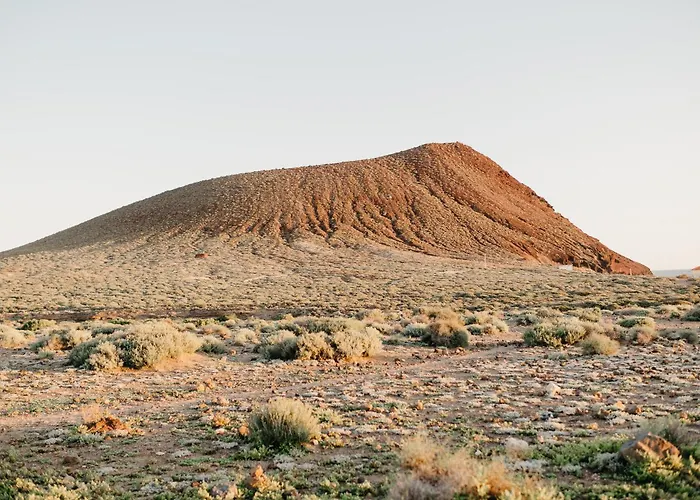 Апартаменты Vivienda Arecas - Эль-Медано